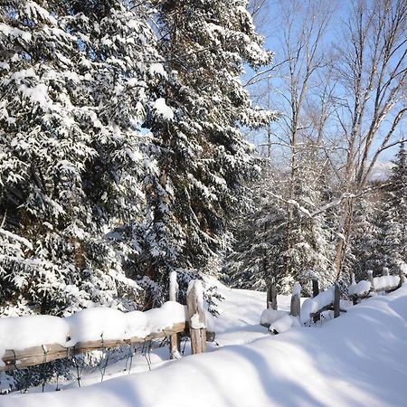 Jardin Du Village By Chez Tremblant Mont-Tremblant Eksteriør bilde