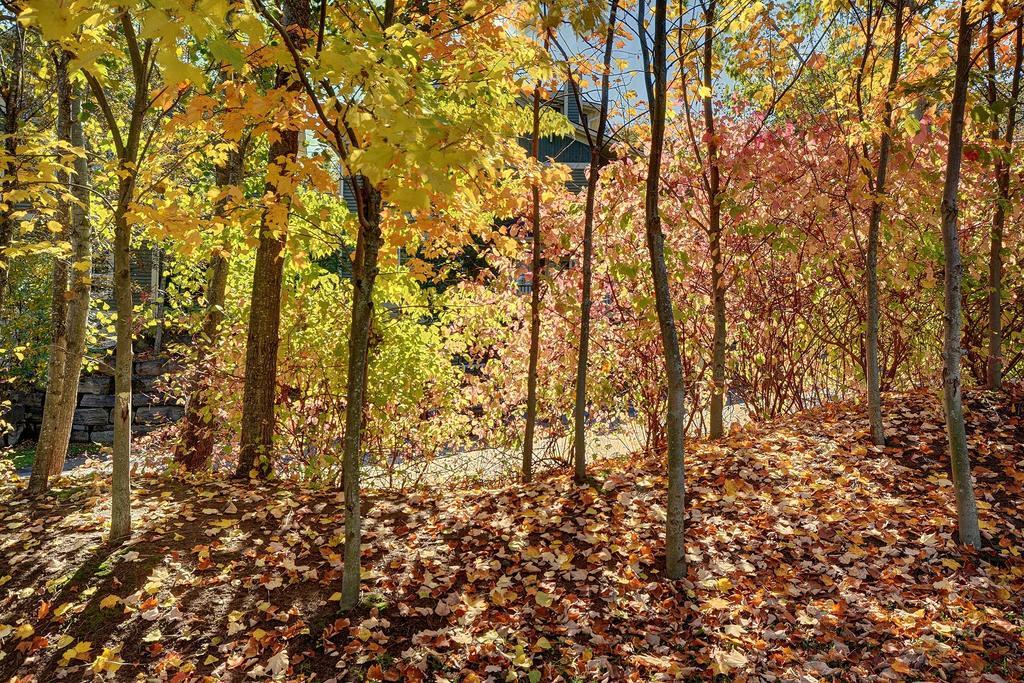 Jardin Du Village By Chez Tremblant Mont-Tremblant Rom bilde